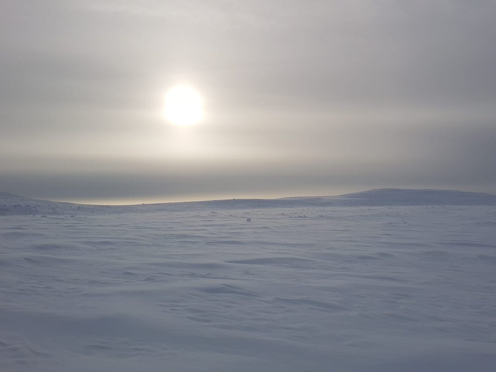 Słońce nieśmiało zaczyna świecić prosumentom nawet zimą