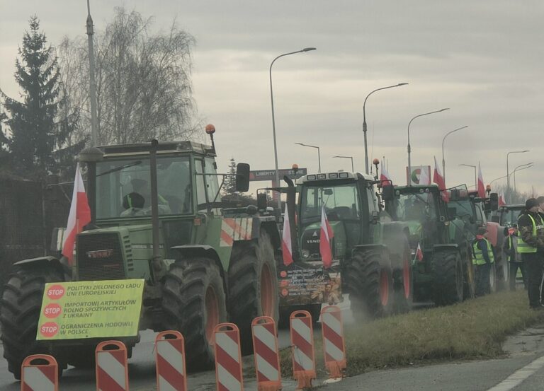 Wspólnota interesów steków z limusinów i sałatek z larw mączniaka