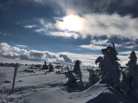 WhatsApp Image 2023-03-16 at 18.41.29