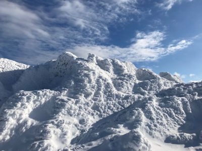 WhatsApp Image 2023-03-16 at 18.45.28