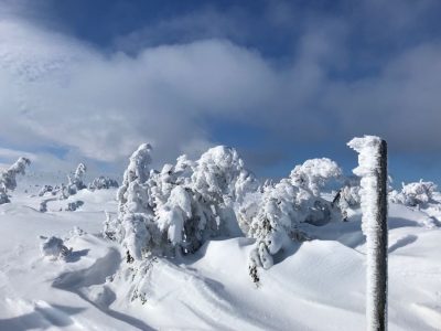 WhatsApp Image 2023-03-16 at 18.46.03